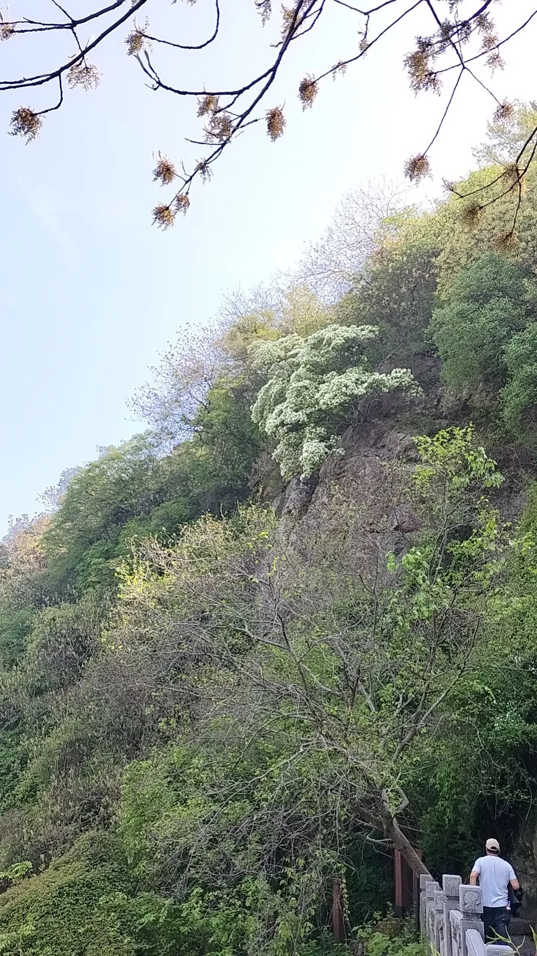 69ddf95bd84f5.jpg