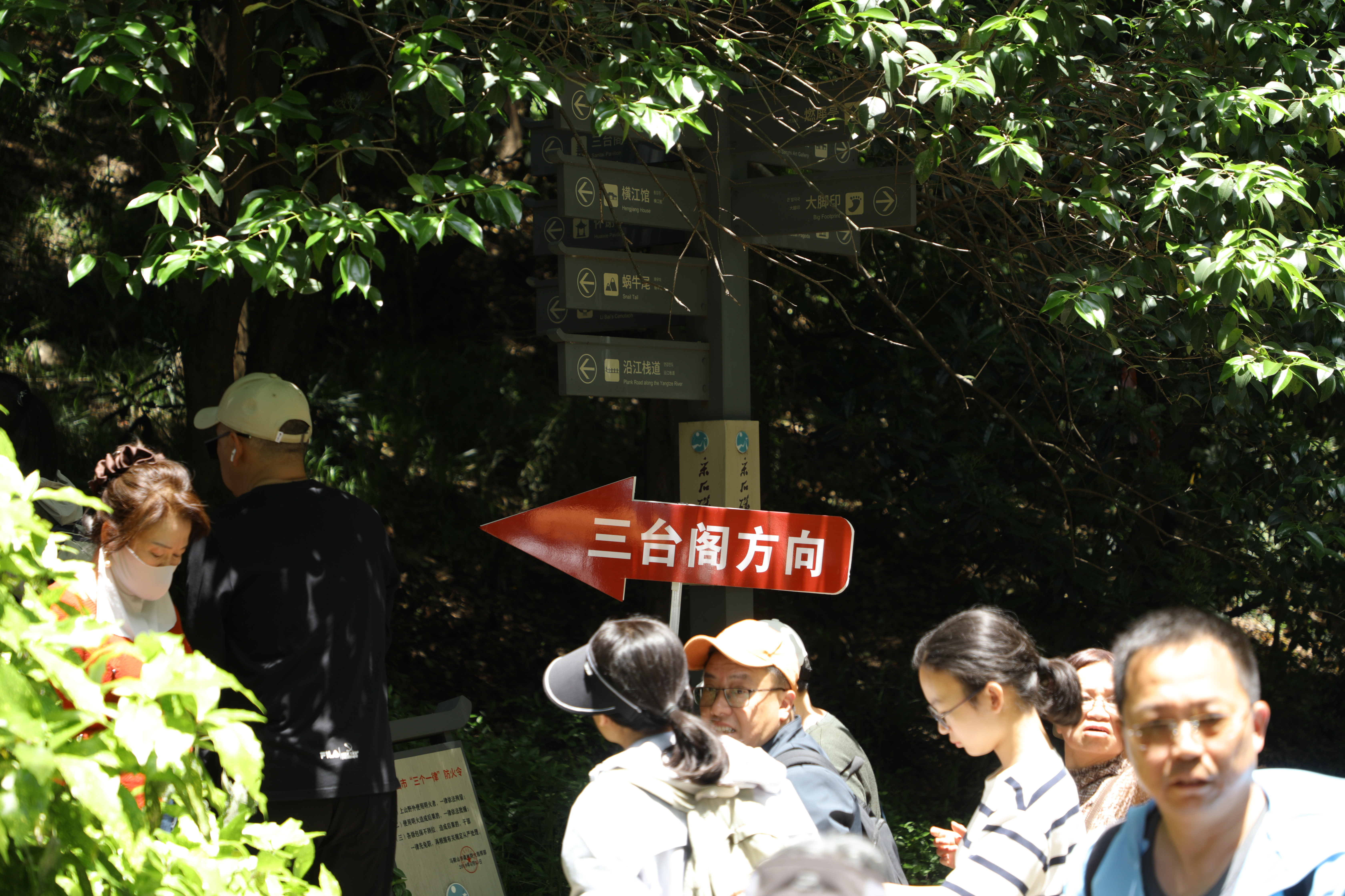 69f942603c40a.JPG
